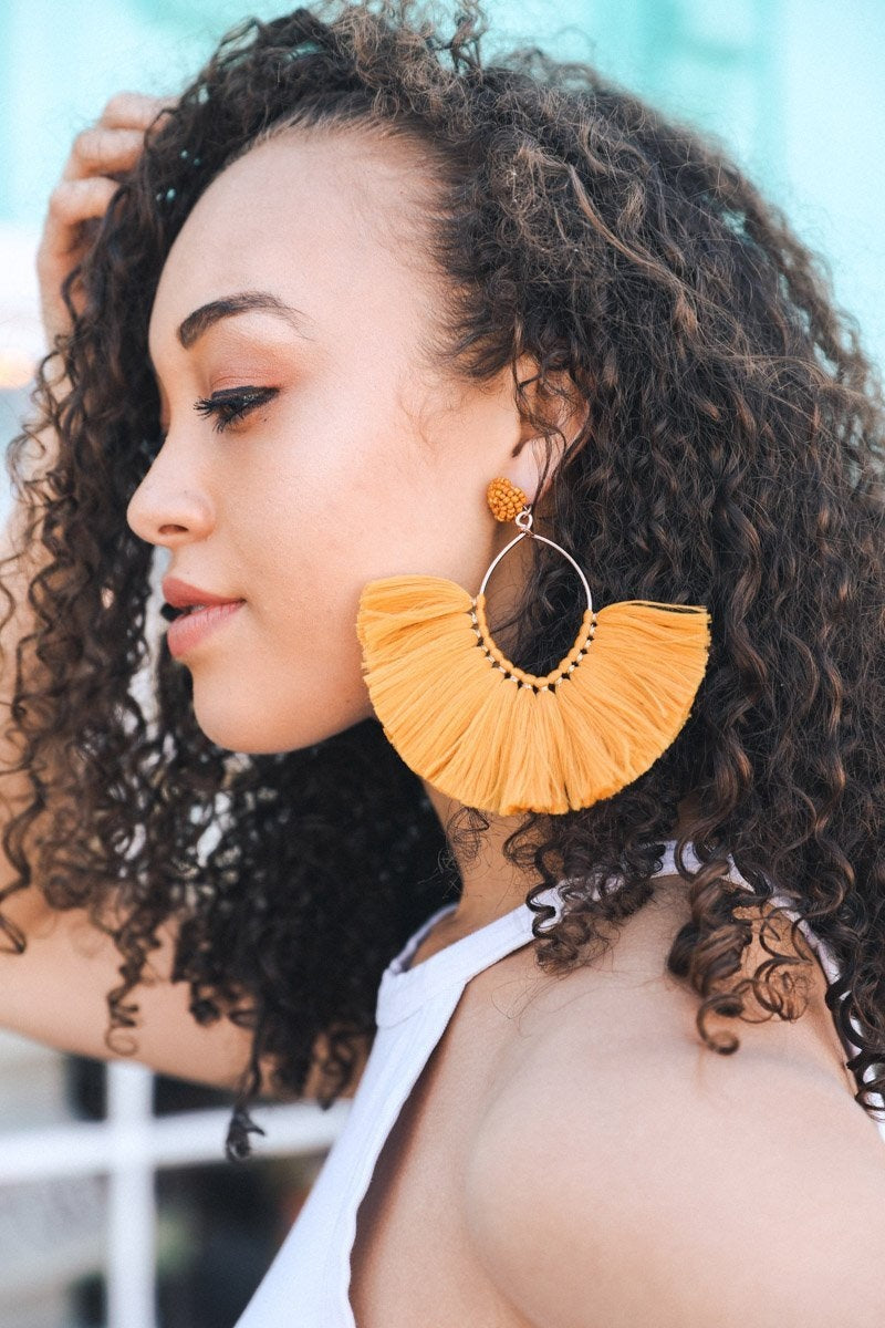 Fan Tassel Earrings Jewelry